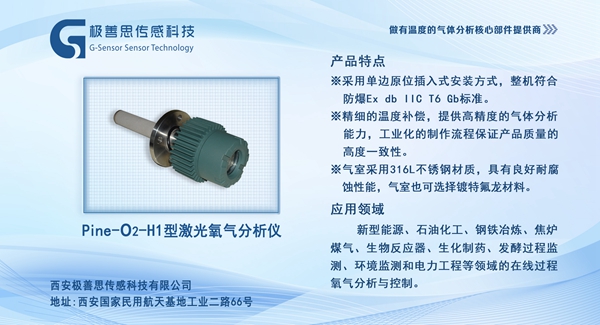 環(huán)保與安全并重：激光氧含量分析儀在石油化工行業(yè)的應(yīng)用實踐